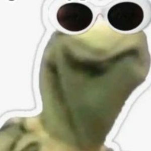 Meet your Posher, Dylan